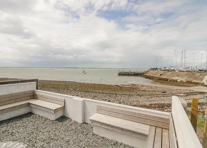 Driftwood Roa Island Piel Island Barrow-in-Furness